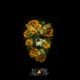Young Unlucky EP