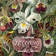 Recovery Single