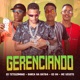 Gerenciando feat EO DN Single