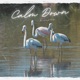 Calm Down Single