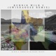 Runnin Wild 2 Swishaouse Remix Single