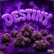 Destiny feat Tay Weeze Single