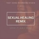 Sexual Healing Remix Single
