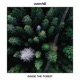 Inside the Forest Single