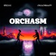 Orchasm Single