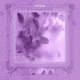 Divinity Single