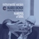 Handful of Soul Instrumental Version