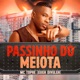Passinho do Meiota Single
