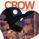 Crow Single