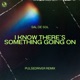I Know There s Something Going On Pulsedriver Remix Single
