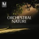 Orchestral Nature