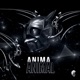 Animal Single