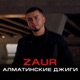 Алматинские джиги Single