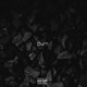 Burn Single