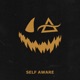 Self Aware Single