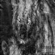 Relentless Single