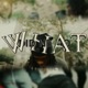 Wdhd Single