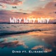 Why Why Why feat Elisabeth Single