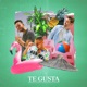Te Gusta feat Guydo Single