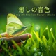 Deep Meditation Nature Music Mindful Natural Healing Well Being Soundscape