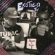 Exotica Tv Rixon Duran La R Single