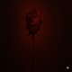Kader Single