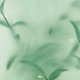 refract Single