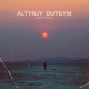 Altynjy Duýgym Single