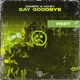 Say Goodbye Single