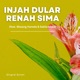 Injah Dular Renah Sima feat Masang Hansda Sakila Kisku Single
