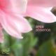 Absence EP