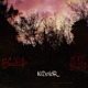 Blood of My Blood Single