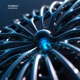Evidence EP