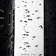 CARTEL 070 Single