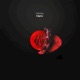 Enigma Single