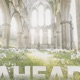 Ahead Single
