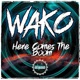 Here Comes The Boom Single