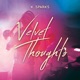 Velvet Thoughts Instrumental Single