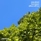 Lorem Ipsum Juliane Wolf Remix Single