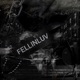 fellinluv Single