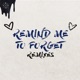 Remind Me to Forget Remixes EP