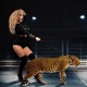 Ani feat Adrian Minune Single