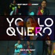Yo Lo Quiero feat Kennedy Single