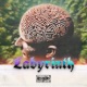 Labyrinth Single