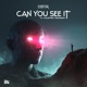 Can You See It Single