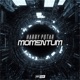 Momentum Single