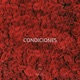 Condiciones feat Fresco Boi Single