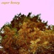 Super Honey Single