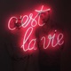 C est la Vie Single