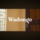 Wadongo Single